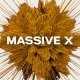 Native Instruments Massive X