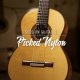 Native Instruments Session Guitarist Picked Nylon