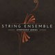Native Instruments Symphony Essentials - String Ensemble