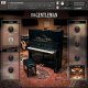 Native Instruments The Gentleman v1.2