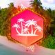 Nexus 4 Expansion - Tropical House 5