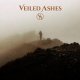 Observant Sound Veiled Ashes