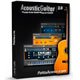 PettinHouse AcousticGuitar 2.0