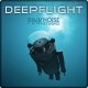 PinkNoise DeepFlight
