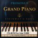 Prosonous Grand Piano