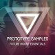Prototype Samples Future House Essentials Vol.2