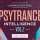 Psytrance Intelligence Vol.2