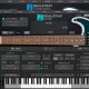 RealStrat 6
