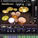 RealiDrums v1.0