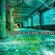 Samplephonics House and Techno Reborn [DVD]