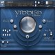 Sonokinetic Yiddish