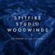 Spitfire Studio Woodwinds