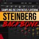 Steinberg BackBone