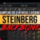 Steinberg BackBone v1.5