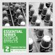 Thomas Penton Essential Loops & Effects 24bit
