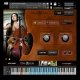 Tina Guo Artist Series