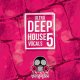 Vandalism Ultra Deep House Vocals 5