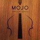 Vir2 MOJO Upright Bass