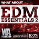 What About EDM Essentials 2 [DVD]