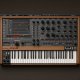 XILS-lab PolyKB III v3.0.3