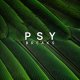 Zenhiser Psy Breaks