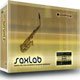 SaxLab Saxophone Synthesizer